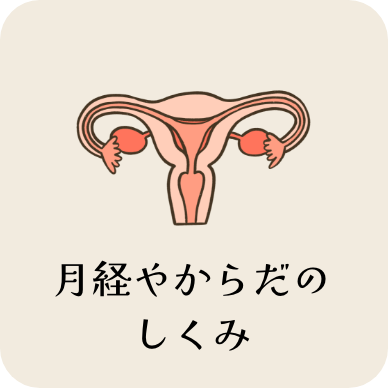 月経やからだのしくみ